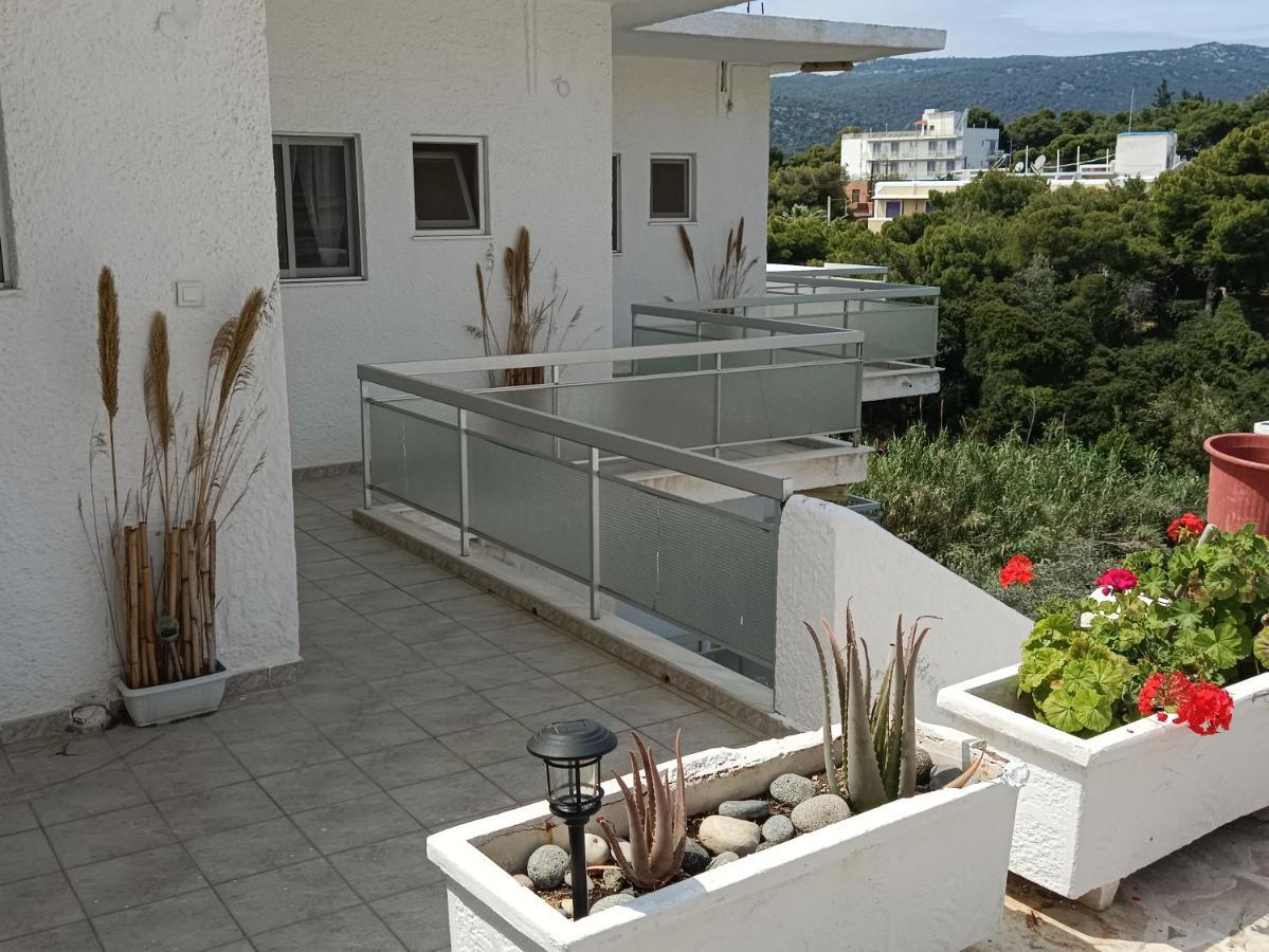 Meltemi Apartments Agia Marina  Exterior photo